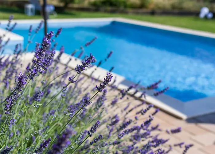 Διαμέρισμα Alex